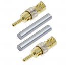 Germanium Elektroden – Bild 2